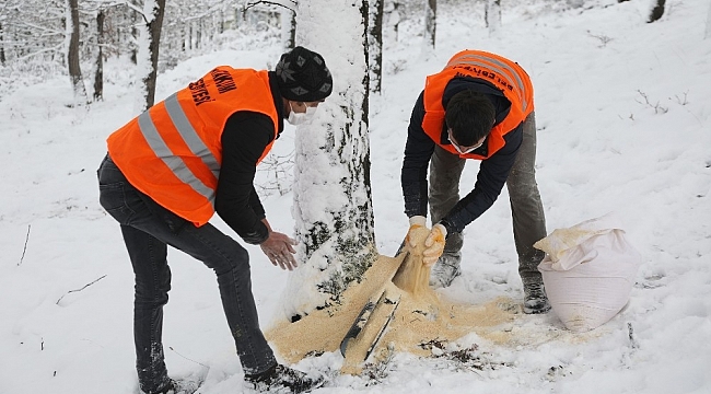 Atakum'dan 42 farklı noktada kuşlara yem