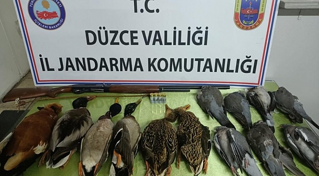 Avcılık adı altında katliam yapan şahıs trafik uygulamasında yakalandı