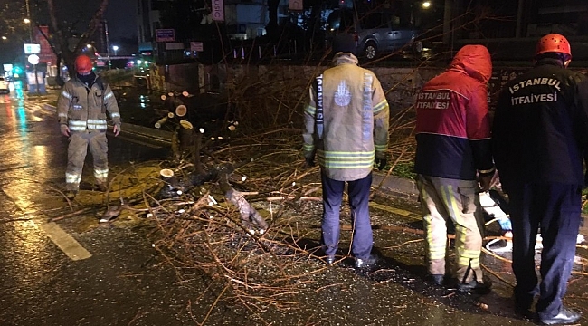 Bağdat Caddesi'nde şiddetli sağanak ve rüzgar nedeniyle ağaç devrildi