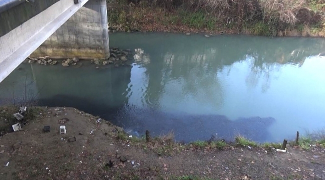 Bartın Irmağı'nda tatlı su kefallerinin görüntüsü ilgi çekti