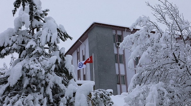 Bartın Üniversitesi'nde kar manzaraları