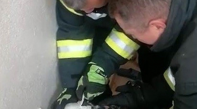 Başı plastik boruya sıkışan kediyi itfaiye erleri kurtardı