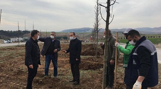 Başkan Kılınç ağaçlandırma çalışmalarını inceledi