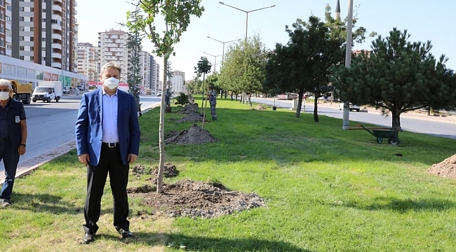 Başkan Mustafa Palancıoğlu: "Daha yeşil bir Melikgazi için fidan değil ağaç diktik"