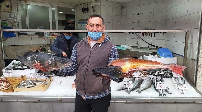 Batı Karadeniz'in incisi Akçakoca'da balık bereketi