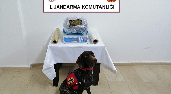 Batman'da 1 kilo 250 gram esrar ele geçirildi