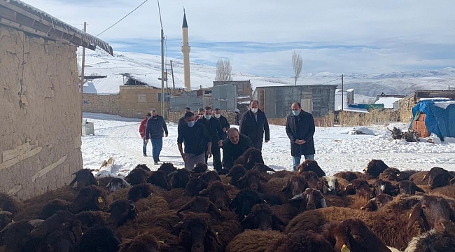 Bayburt'ta "Köyümde Yaşamak İçin Bir Sürü Nedenim Var Projesi" kapsamında çiftçilere koyunları teslim edildi