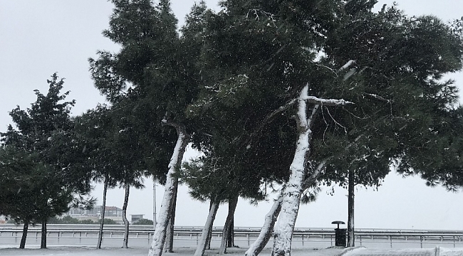 Beylikdüzü'nde kar yağışı devam ediyor