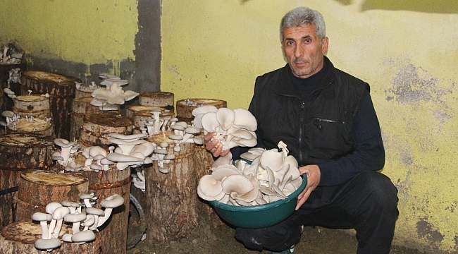 Bir torba ve bir kütük ile başladı şimdi siparişlere yetişemiyor