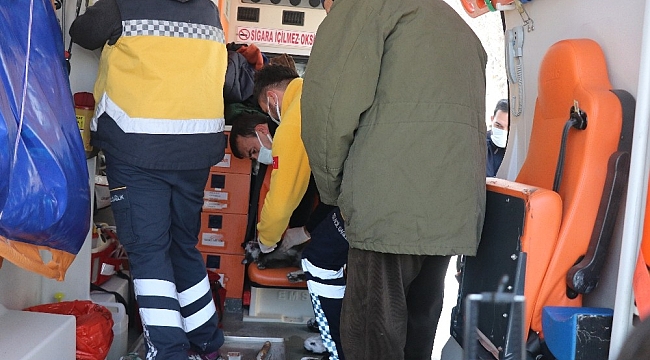 Bolu'da yanan evden kurtarılan kediye ambulansta kalp masajı