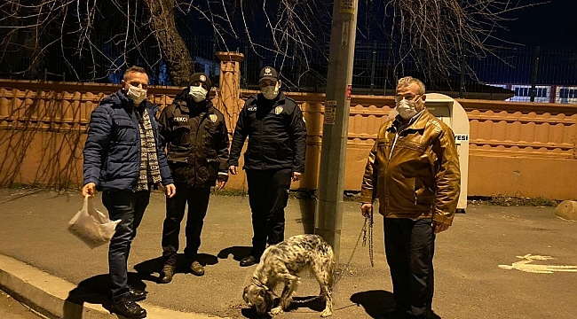 Bu sefer suçlu değil, firari köpeğin sahibini araştırdılar
