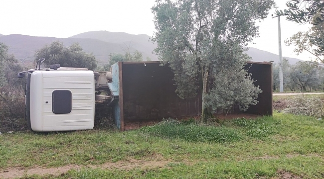 Bursa'da kamyon zeytinliğe devrildi