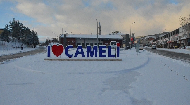 Çameli beyaza büründü