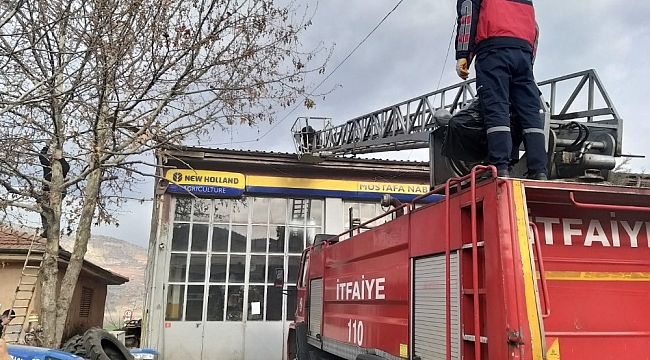 Çatıda mahsur kalan kediyi itfaiye ekipleri kurtardı