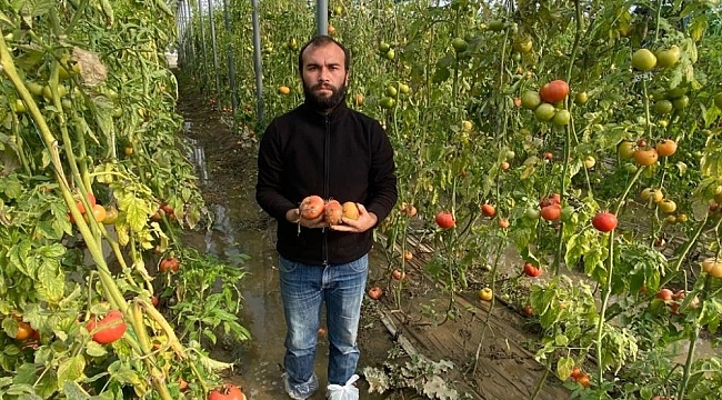 Çiftçi fırtına sonrası yaralarını sarıyor