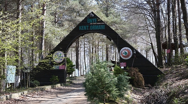 Denize en yakın orman turizme kazandırılıyor