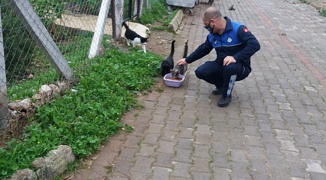 Didim Belediyesi minik dostları unutmadı
