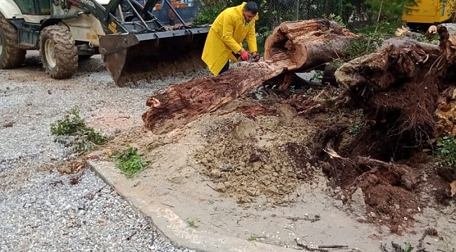 Didim Belediyesi yağış sonrası olumsuzlukları anında giderdi