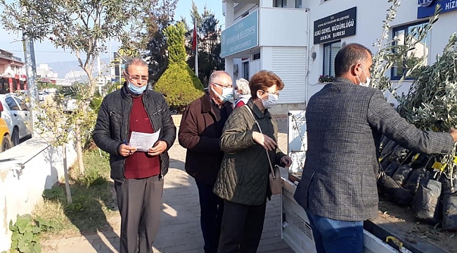 Didim'de zeytin üreticilerine anlaşmalı fidan desteği sürdürüldü