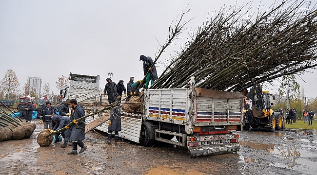 Diyarbakır Büyükşehir Belediyesi 220 günde 5 bin ağaç dikti