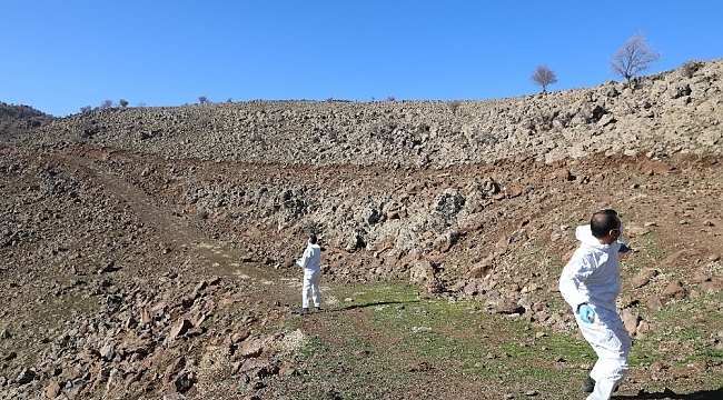 Diyarbakır'da ilk defa hayvanlara kuduz aşısı kırsala bırakıldı