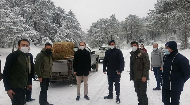 Dumlupınar'da yaban hayvanlarına yem bırakıldı