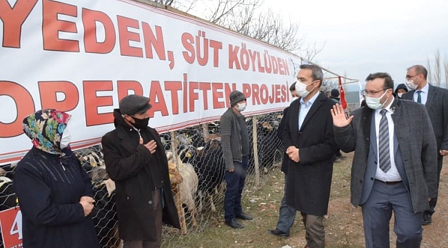 Emet'te 'Keçi peyniri' projesi