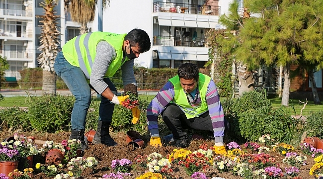 Erdemli Belediyesi yılda 20 bin bitki üretiyor