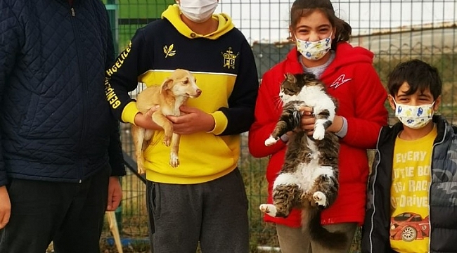 Ergene'deki sevimli dostları belediye sahiplendirmeye devam ediyor