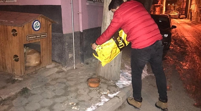 Eskişehir Gönüllüleri platformu üyeleri sokak hayvanların yardımına yetişti