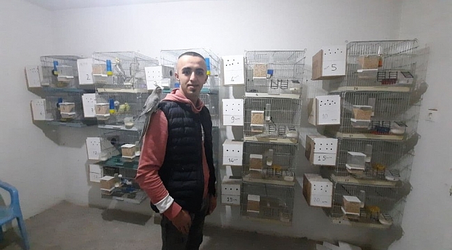 Evinin damında beslediği papağanları satarak gelir sağlıyor