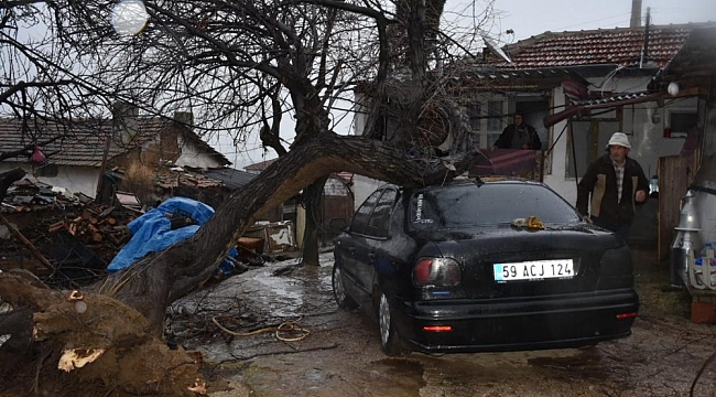 Fırtınaya dayanmayan ağaç aracın üstüne devrildi