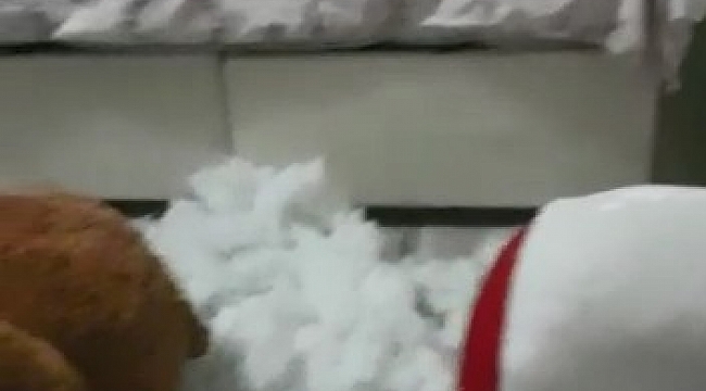 Girdiği evi savaş alanına çevirdi, 150 bin lira ve ziynet eşyası çaldı