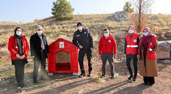 Gönüllülerce Meram'a yeni kedi, köpek ve kuş evleri kazandırılıyor