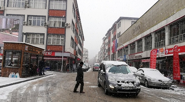 Gümüşhane'de etkili kar yağışı