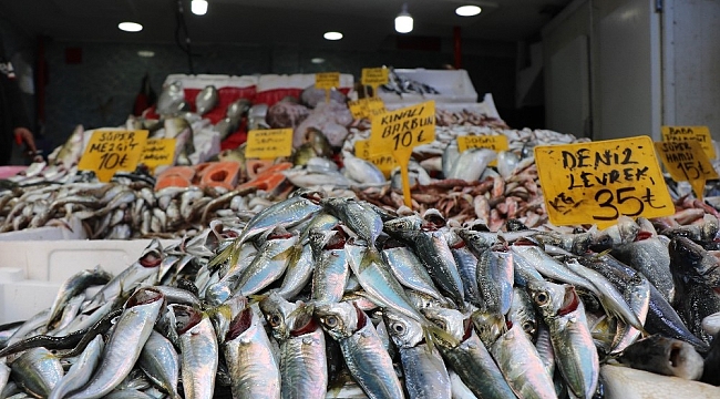 Hamsinin fiyatı 25 TL'den 15 TL'ye düştü