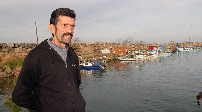 Hamsinin geleceği tehlikede