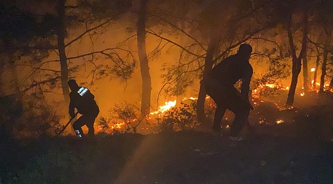 Hatay'da havai fişek ormanda yangına neden oldu
