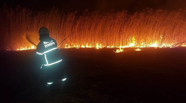 Hatay'da sazlık yangını