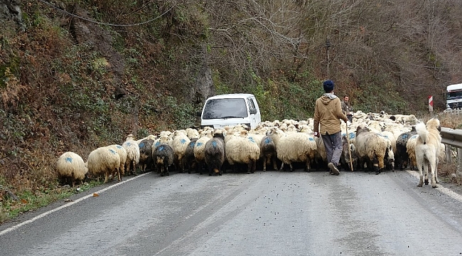 Havalar sıcak gidince yaylaya çıkmışlardı, havalar soğuyup kar gelince tekrar köylerine indiler