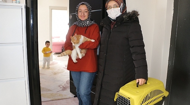 Hayrunnisa'ya kedi sürprizi