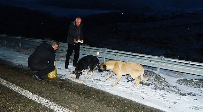 Hayvan sevgisi dağlardaki hayvanları da doyuruyor