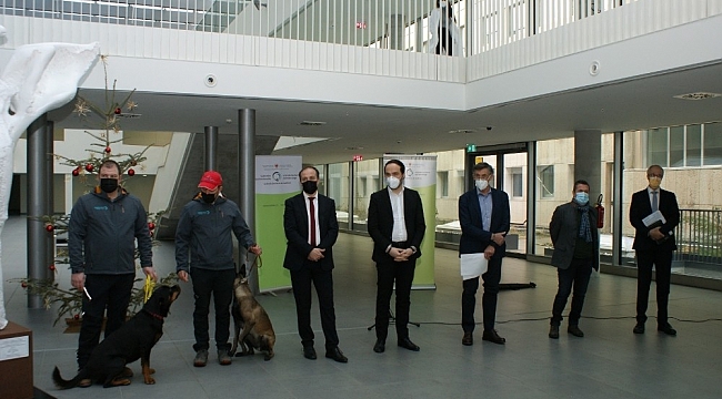 İtalya'da köpekler, okullarda Covid-19 taraması yapacak