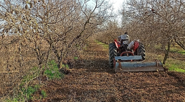 İzmir'de kısıtlamaya rağmen tarlalarda üretim devam etti