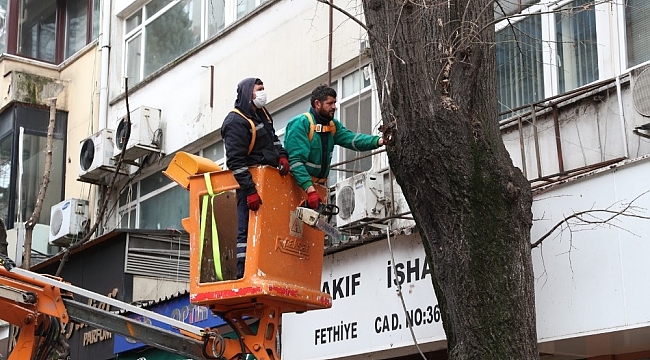 İzmit Belediyesi'nden ağaç budama çalışması
