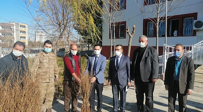 Kahta ilçesinde nar fidanları dağıtıldı