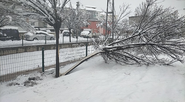 Kar yağışı elektrik direklerini devirdi