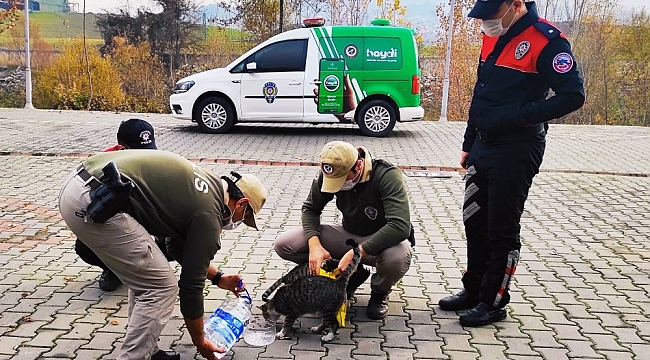 Karabük'te yaban hayvanları unutulmadı