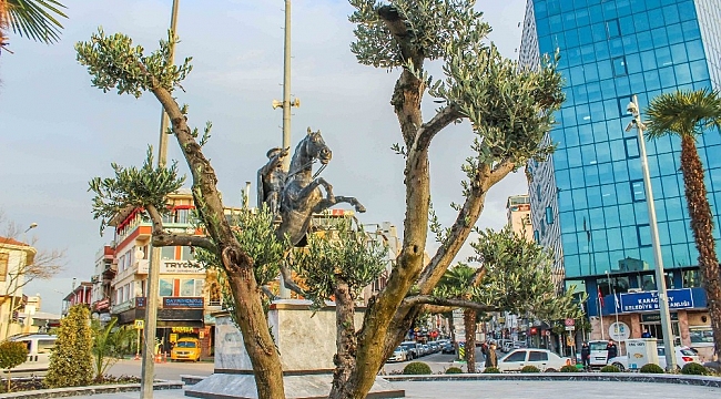 Karacabey zeytincilikte de iddialı