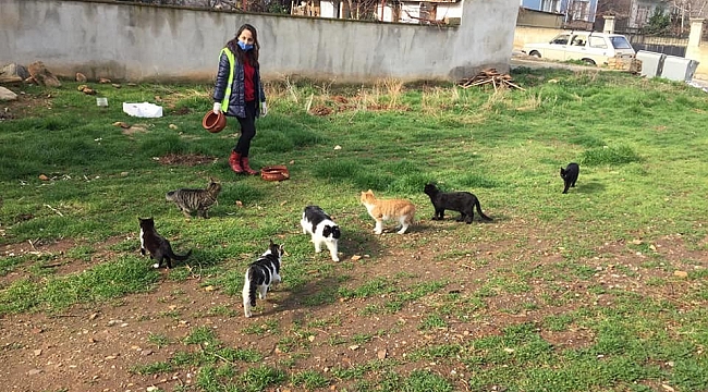 Karacasu'da sokak canları unutulmadı